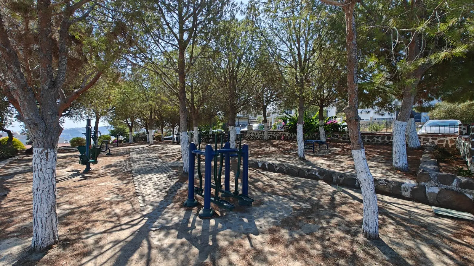 Mature gardens